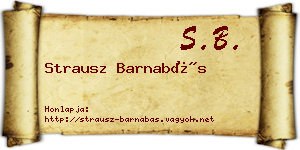 Strausz Barnabás névjegykártya